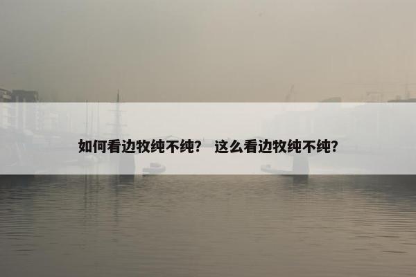 如何看边牧纯不纯？ 这么看边牧纯不纯？