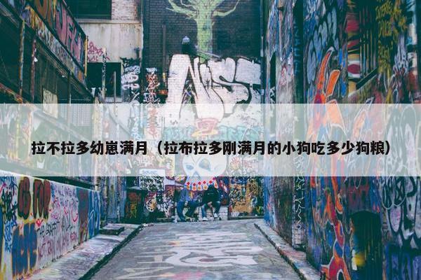 拉不拉多幼崽满月（拉布拉多刚满月的小狗吃多少狗粮）