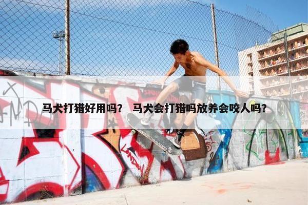 马犬打猎好用吗？ 马犬会打猎吗放养会咬人吗？