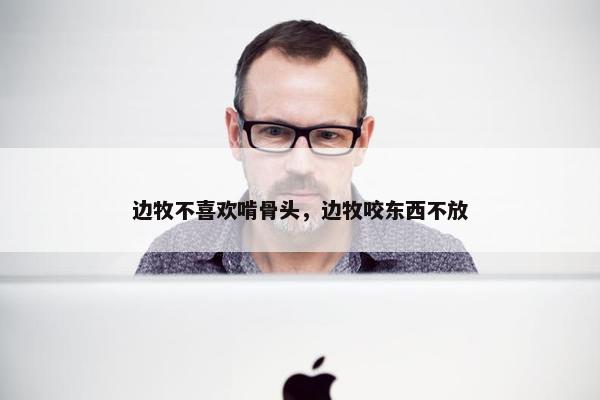 边牧不喜欢啃骨头，边牧咬东西不放
