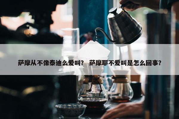 萨摩从不像泰迪么爱叫？ 萨摩耶不爱叫是怎么回事？