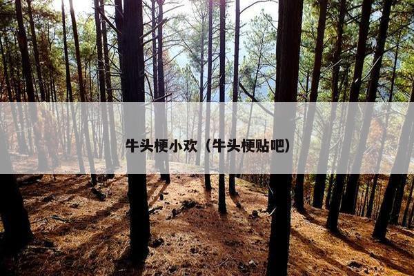 牛头梗小欢（牛头梗贴吧）