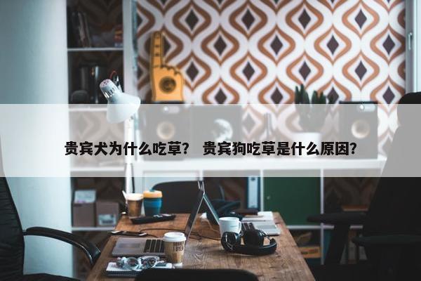 贵宾犬为什么吃草？ 贵宾狗吃草是什么原因？