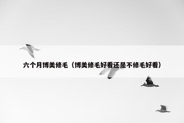 六个月博美修毛（博美修毛好看还是不修毛好看）