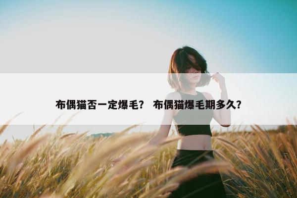 布偶猫否一定爆毛？ 布偶猫爆毛期多久？