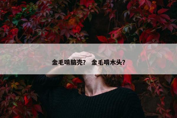 金毛啃脑壳？ 金毛啃木头？