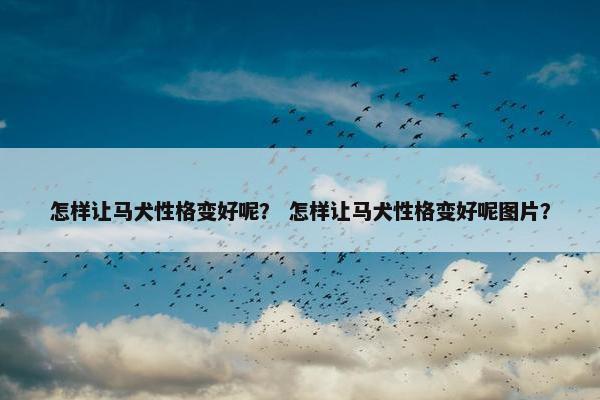 怎样让马犬性格变好呢？ 怎样让马犬性格变好呢图片？
