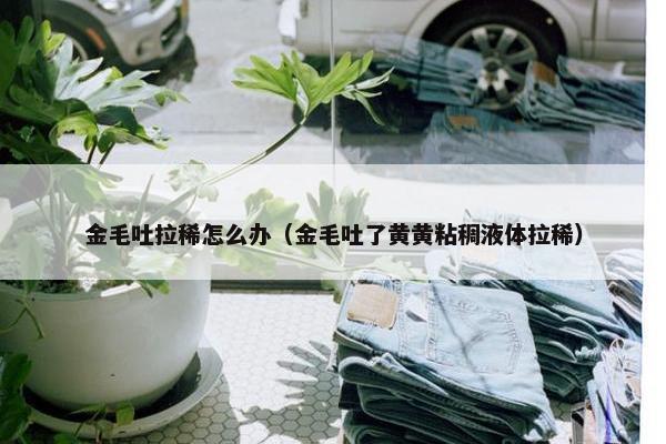 金毛吐拉稀怎么办（金毛吐了黄黄粘稠液体拉稀）
