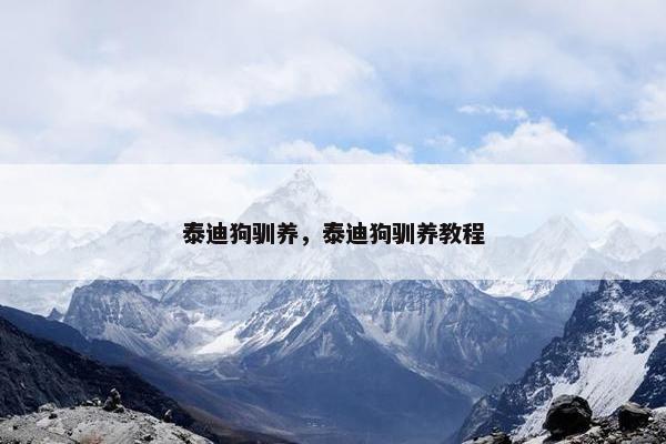 泰迪狗驯养，泰迪狗驯养教程