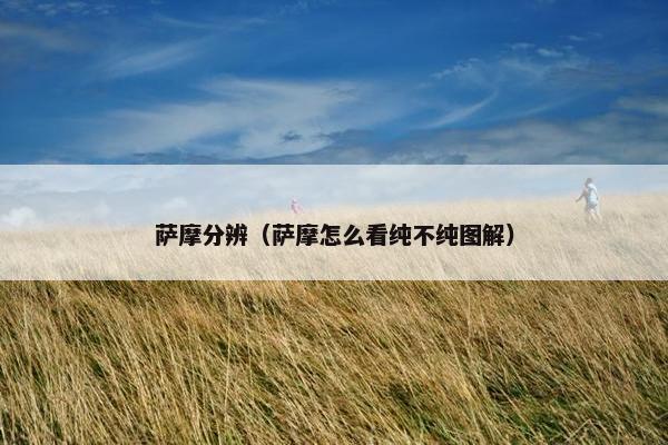 萨摩分辨（萨摩怎么看纯不纯图解）