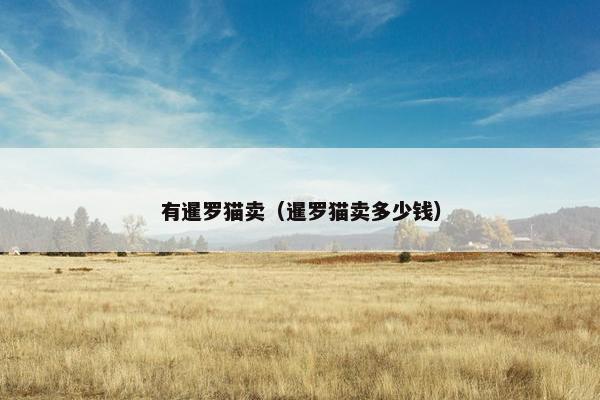有暹罗猫卖（暹罗猫卖多少钱）