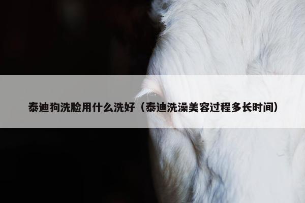 泰迪狗洗脸用什么洗好（泰迪洗澡美容过程多长时间）