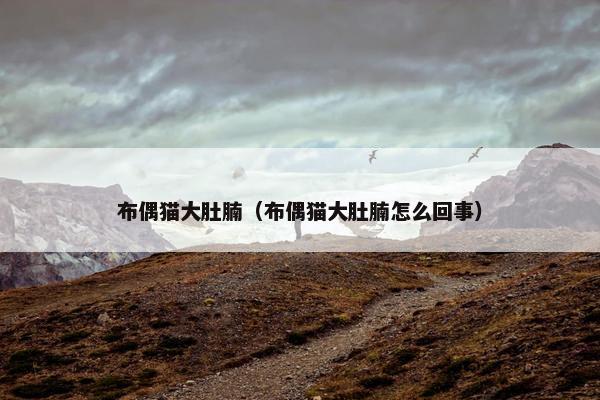 布偶猫大肚腩（布偶猫大肚腩怎么回事）