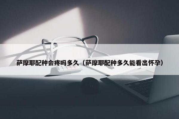 萨摩耶配种会疼吗多久（萨摩耶配种多久能看出怀孕）