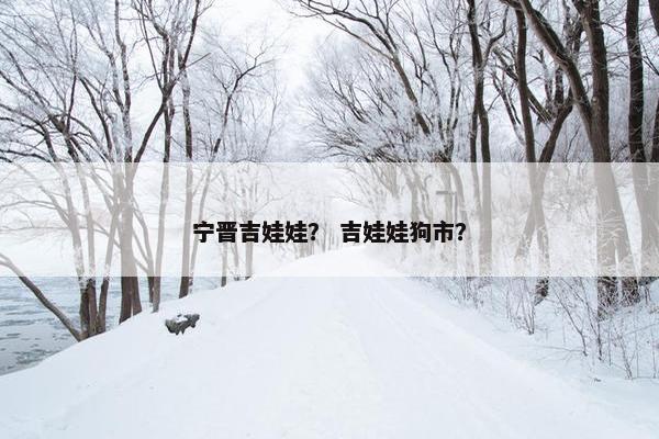 宁晋吉娃娃？ 吉娃娃狗市？