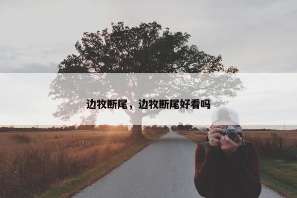 边牧断尾，边牧断尾好看吗