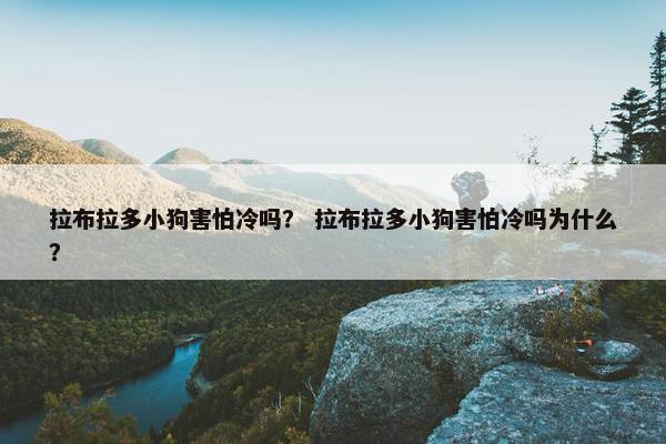 拉布拉多小狗害怕冷吗？ 拉布拉多小狗害怕冷吗为什么？