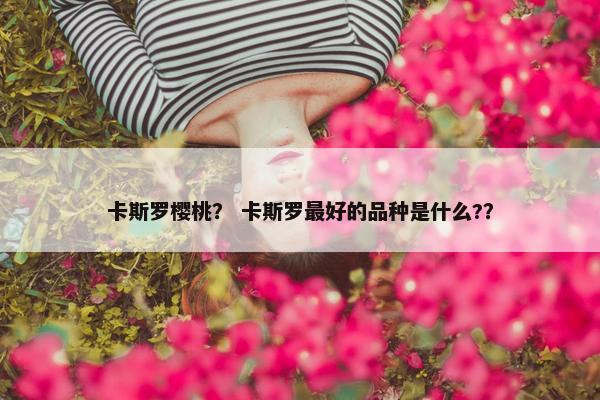 卡斯罗樱桃？ 卡斯罗最好的品种是什么?？