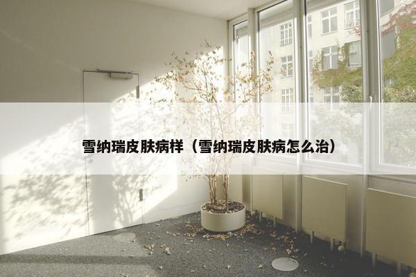 雪纳瑞皮肤病样（雪纳瑞皮肤病怎么治）