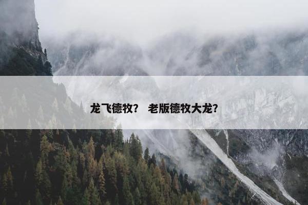 龙飞德牧？ 老版德牧大龙？