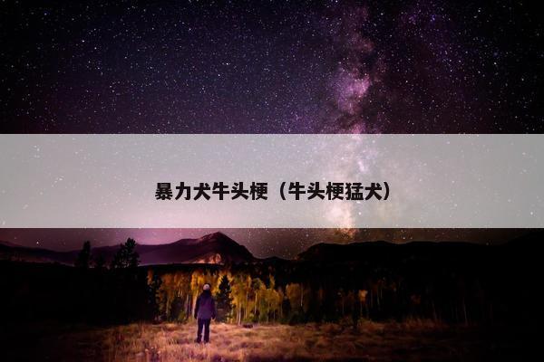 暴力犬牛头梗（牛头梗猛犬）