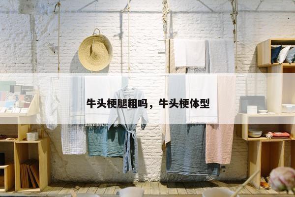 牛头梗腿粗吗，牛头梗体型