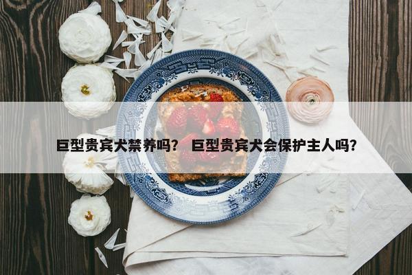 巨型贵宾犬禁养吗？ 巨型贵宾犬会保护主人吗？