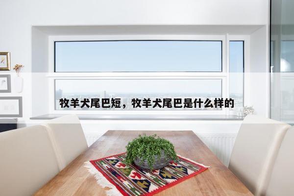 牧羊犬尾巴短，牧羊犬尾巴是什么样的