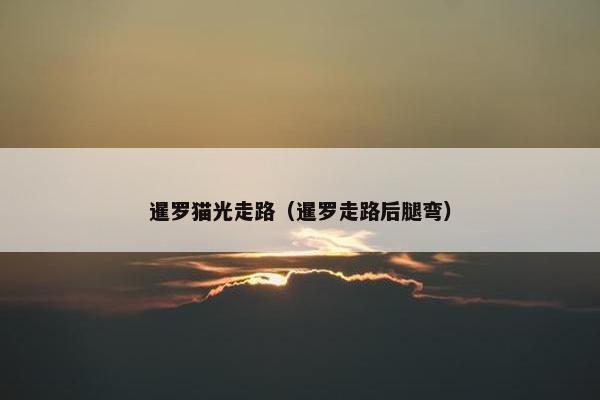 暹罗猫光走路（暹罗走路后腿弯）