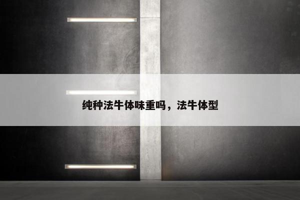 纯种法牛体味重吗，法牛体型