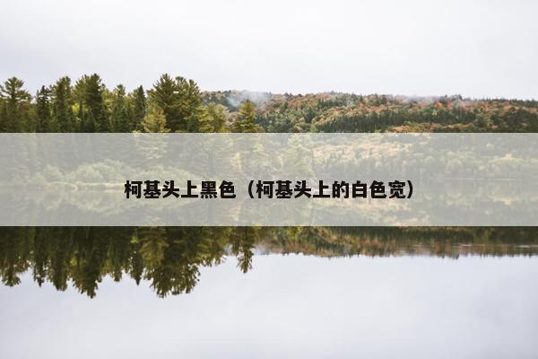 柯基头上黑色（柯基头上的白色宽）