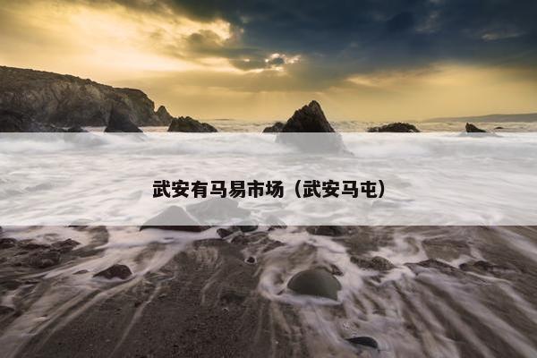 武安有马易市场（武安马屯）