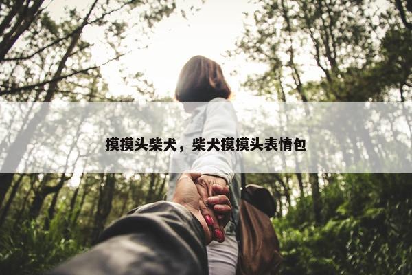 摸摸头柴犬，柴犬摸摸头表情包
