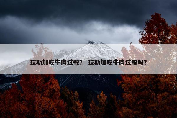 拉斯加吃牛肉过敏？ 拉斯加吃牛肉过敏吗？