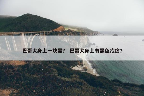 巴哥犬身上一块黑？ 巴哥犬身上有黑色疙瘩？