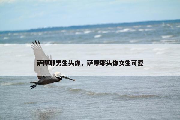 萨摩耶男生头像，萨摩耶头像女生可爱