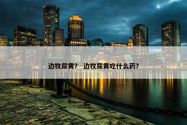 边牧尿黄？ 边牧尿黄吃什么药？