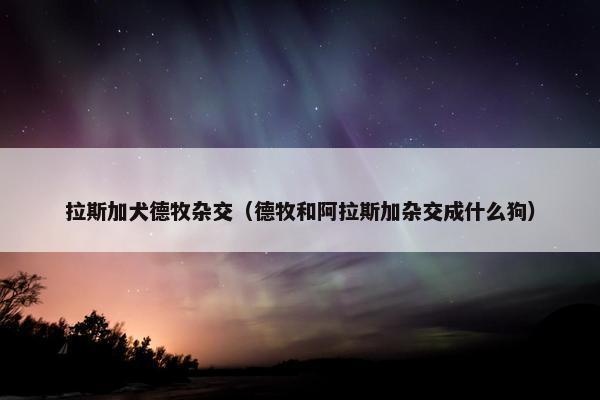 拉斯加犬德牧杂交（德牧和阿拉斯加杂交成什么狗）