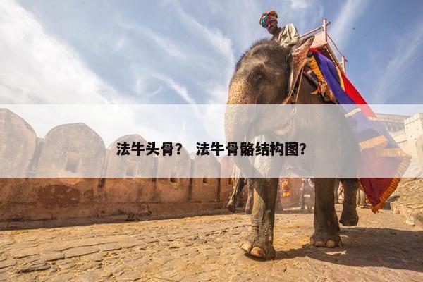 法牛头骨？ 法牛骨骼结构图？
