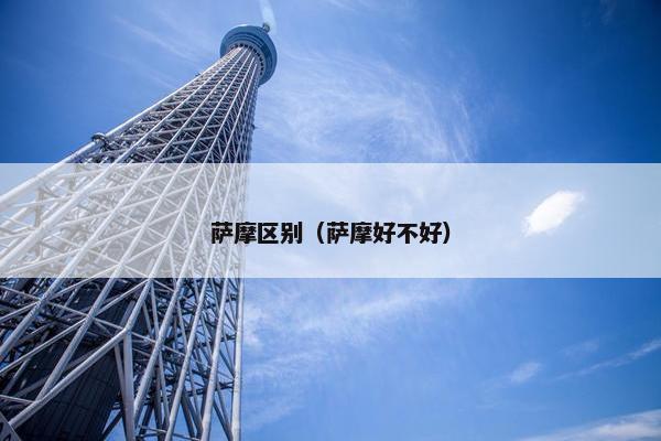 萨摩区别（萨摩好不好）