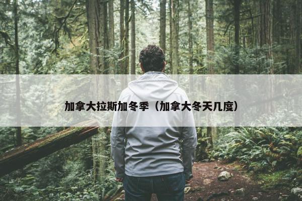 加拿大拉斯加冬季（加拿大冬天几度）