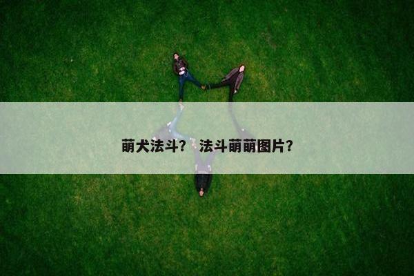 萌犬法斗？ 法斗萌萌图片？