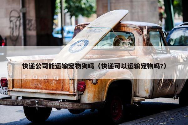 快递公司能运输宠物狗吗（快递可以运输宠物吗?）