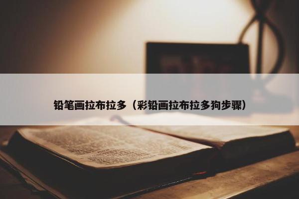 铅笔画拉布拉多（彩铅画拉布拉多狗步骤）