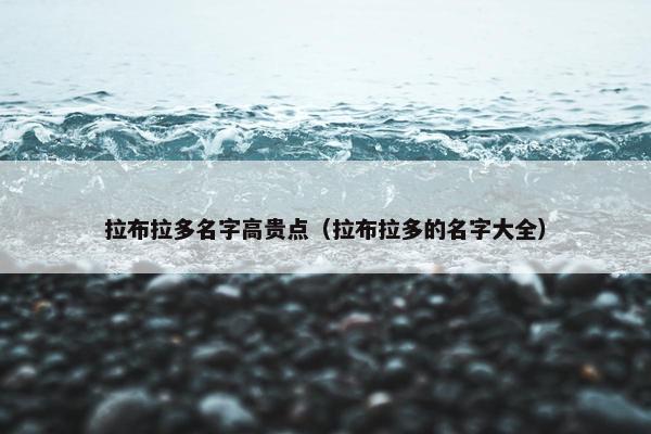 拉布拉多名字高贵点（拉布拉多的名字大全）