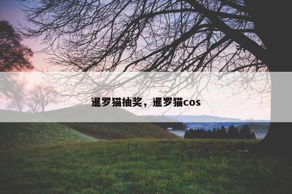 暹罗猫抽奖，暹罗猫cos