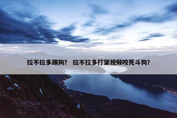 拉不拉多踢狗？ 拉不拉多打架视频咬死斗狗？