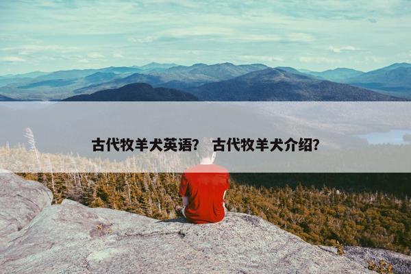 古代牧羊犬英语？ 古代牧羊犬介绍？