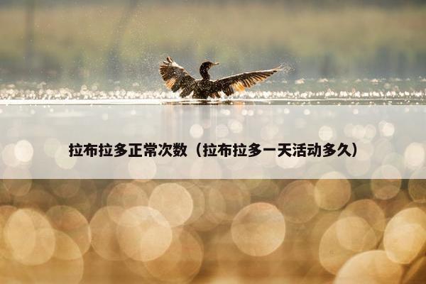 拉布拉多正常次数（拉布拉多一天活动多久）
