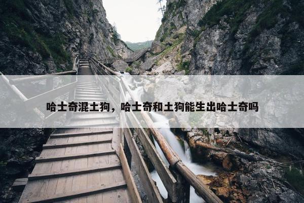哈士奇混土狗，哈士奇和土狗能生出哈士奇吗